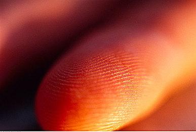 收集探索养成新游《Poglings》开启众筹 预定登陆steam＆Switch